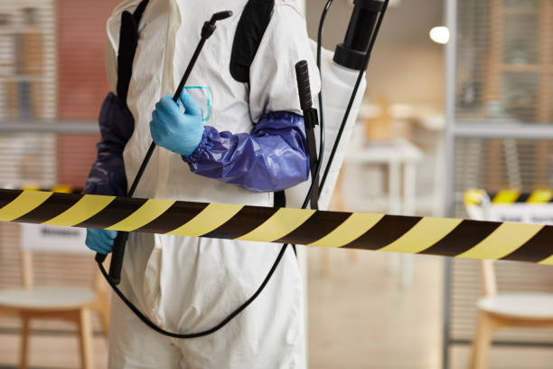 Professional Sewage Cleanup technician working in Verona, KY